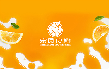 某良橙——邵阳LOGO设计